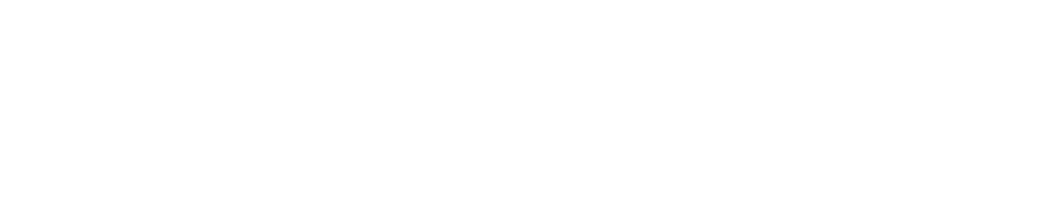North Lion Logo White